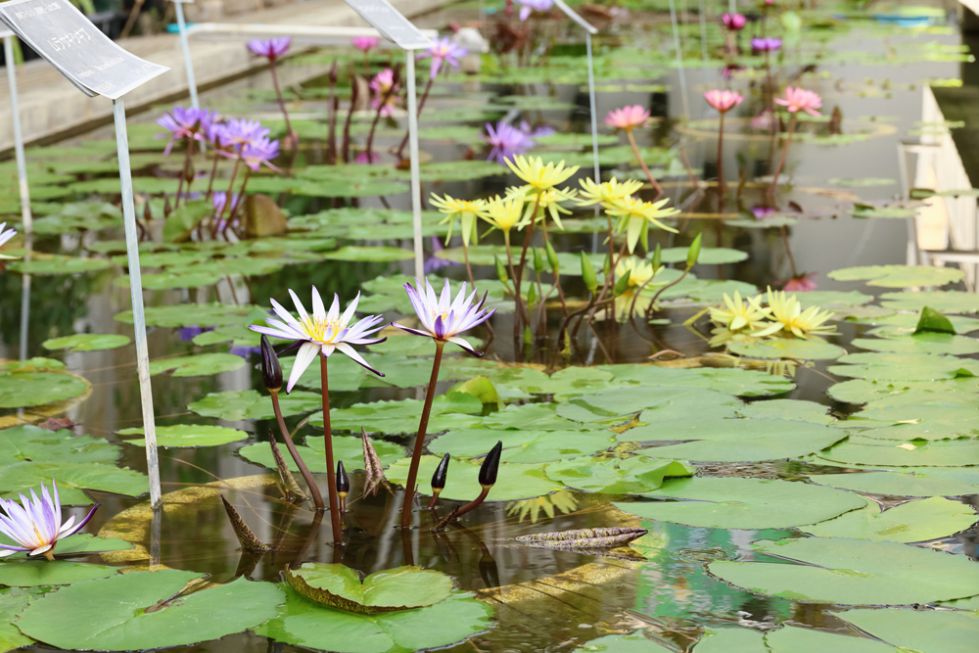 桜の杜交流遠足その①の画像