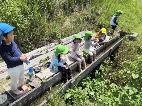 白木で七夕会①の画像