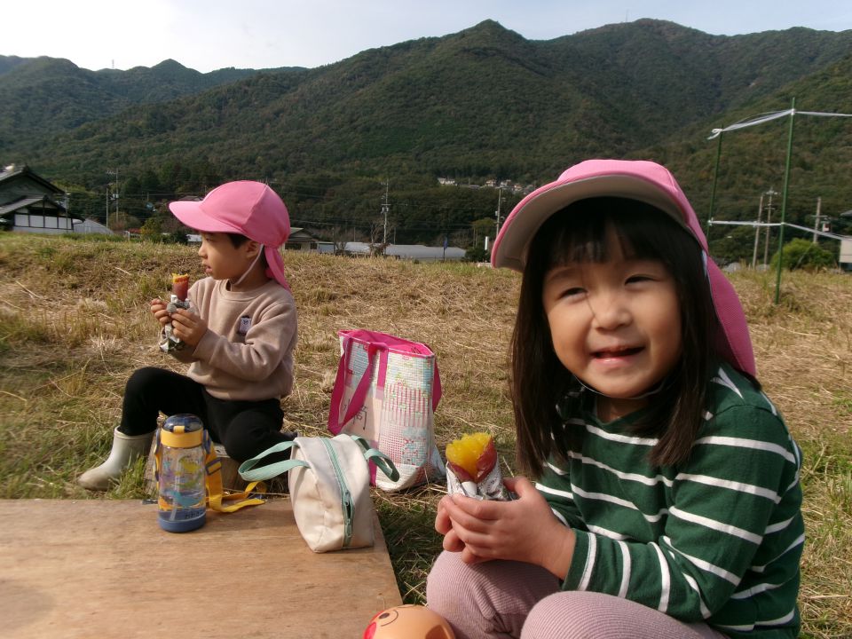 こぐまちゃんとおいもほり②(さくら組)の画像