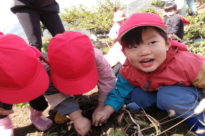 白木の杜で芋ほりの画像