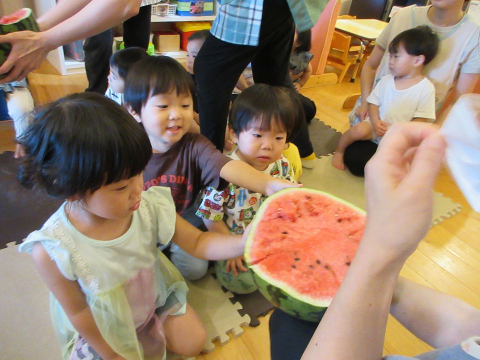 夏がきた！～スイカのおなかを見てみよう～の画像