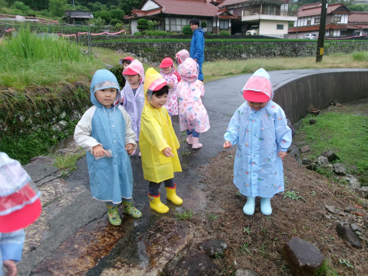雨降り散歩（灯組）の画像