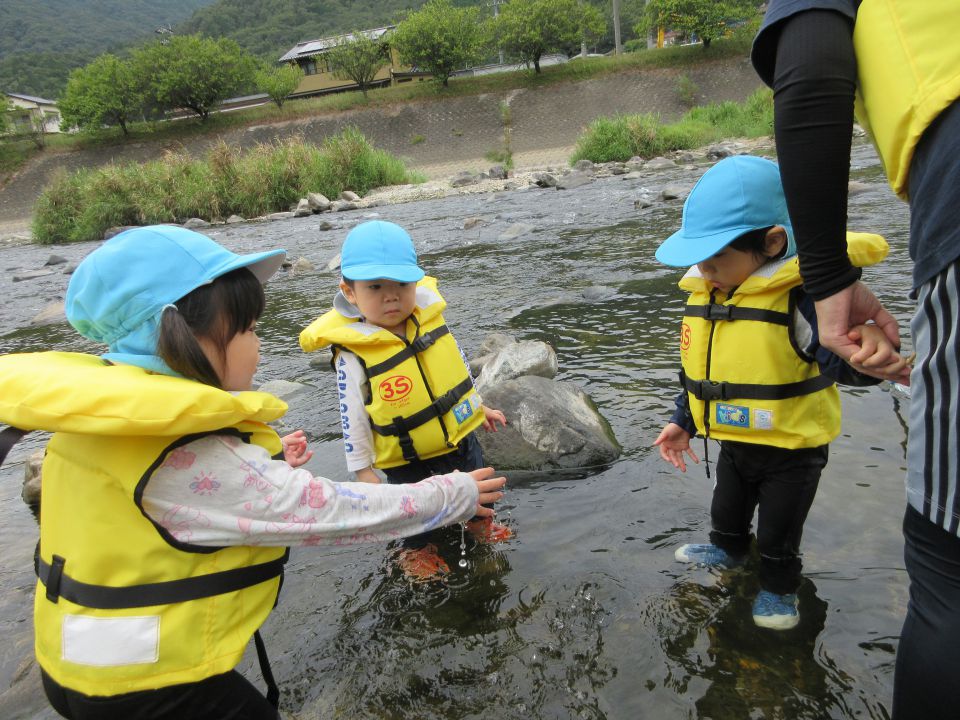はじめての川あそび(さくら組)の画像