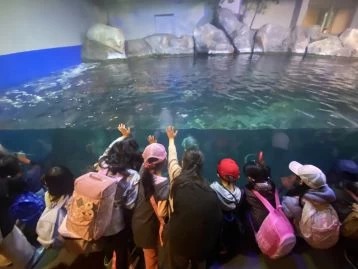 冬の遠足～宮島水族館～の画像