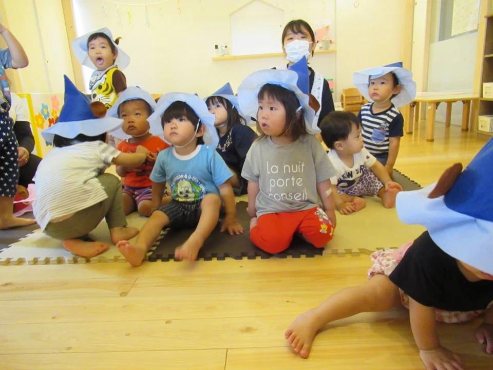 ミニトマトとナスを植えたよの画像