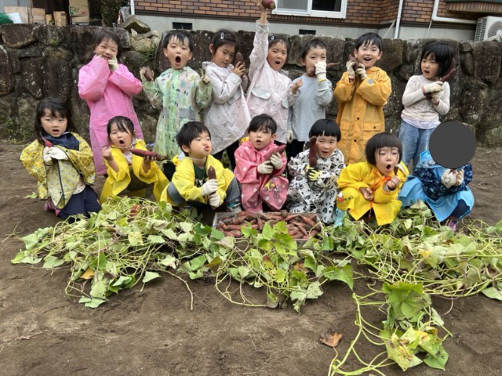 うんとこしょ！どっこいしょ！①（白木 芋掘り　①グループ）の画像
