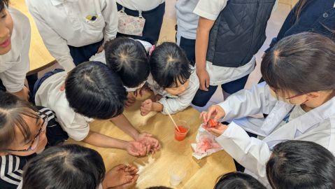 ひろしま教育ウィーク～不思議発見！科学の芽！～の画像